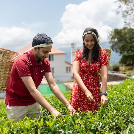 Lost & Found Hostels - Mandaramnuwara Mandaran Newara 外观 照片