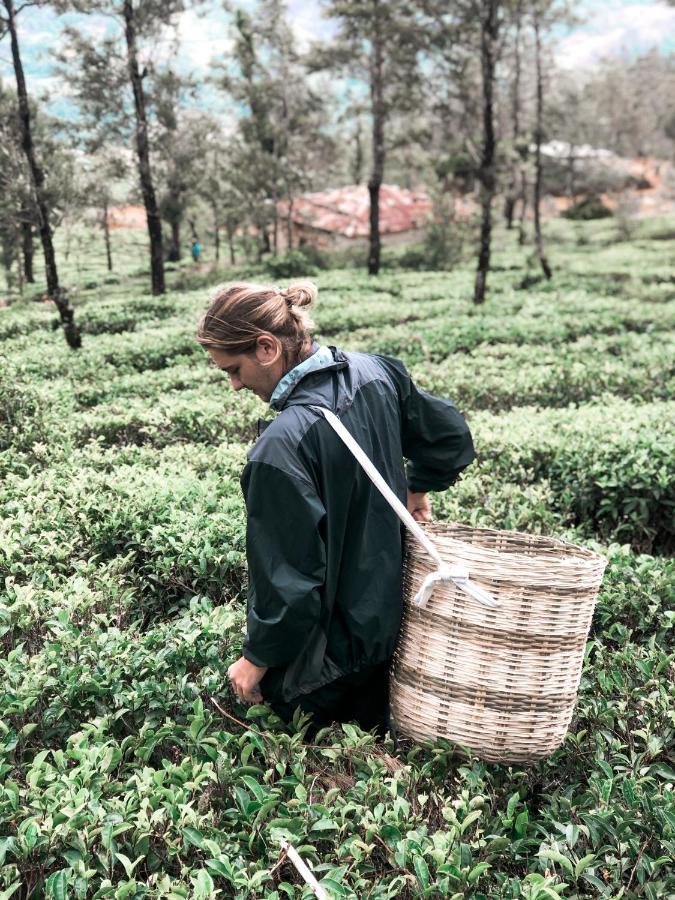 Lost & Found Hostels - Mandaramnuwara Mandaran Newara 外观 照片
