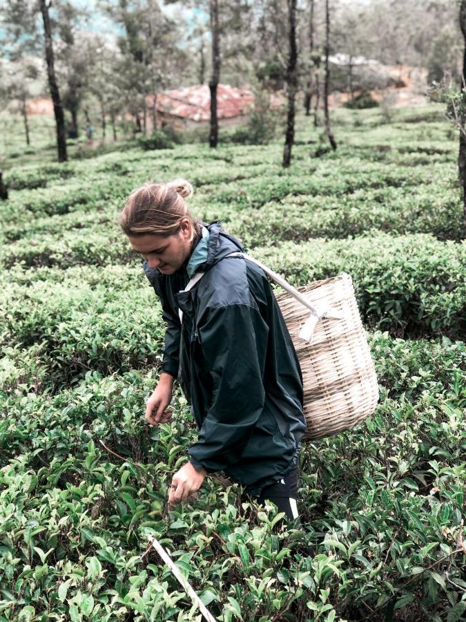 Lost & Found Hostels - Mandaramnuwara Mandaran Newara 外观 照片